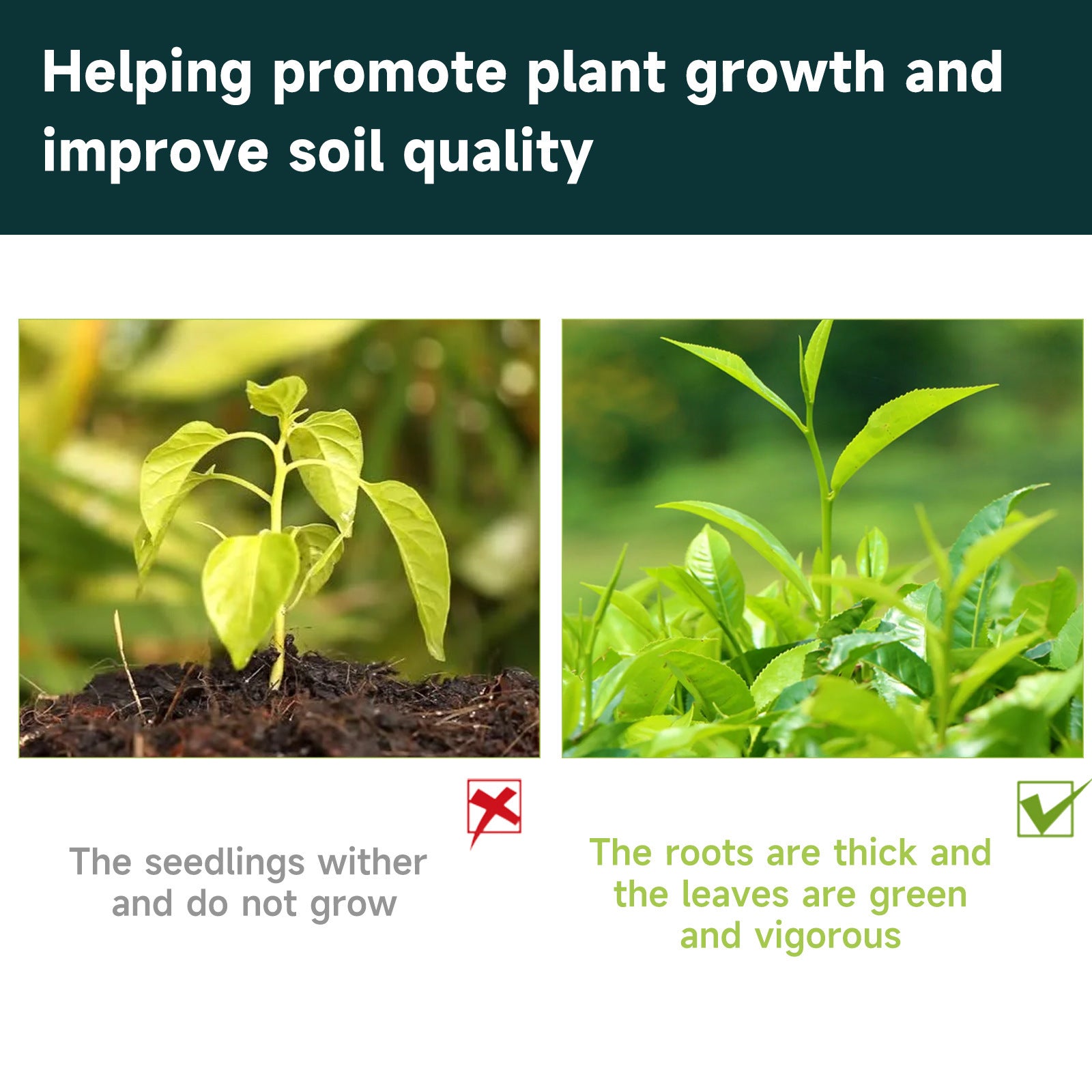 Plant growth nutritional supplements