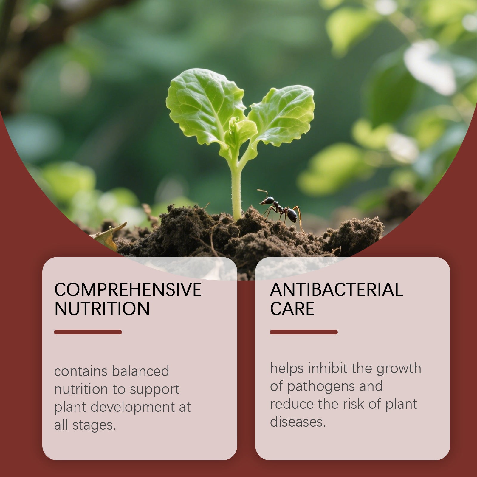 SOLUBLE PLANT HEALTH SUPPORT FERTILIZER